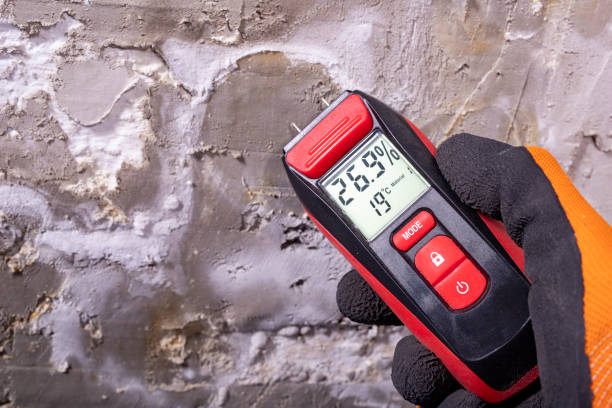 Trusted Cudahy, CA Mold Removal Experts